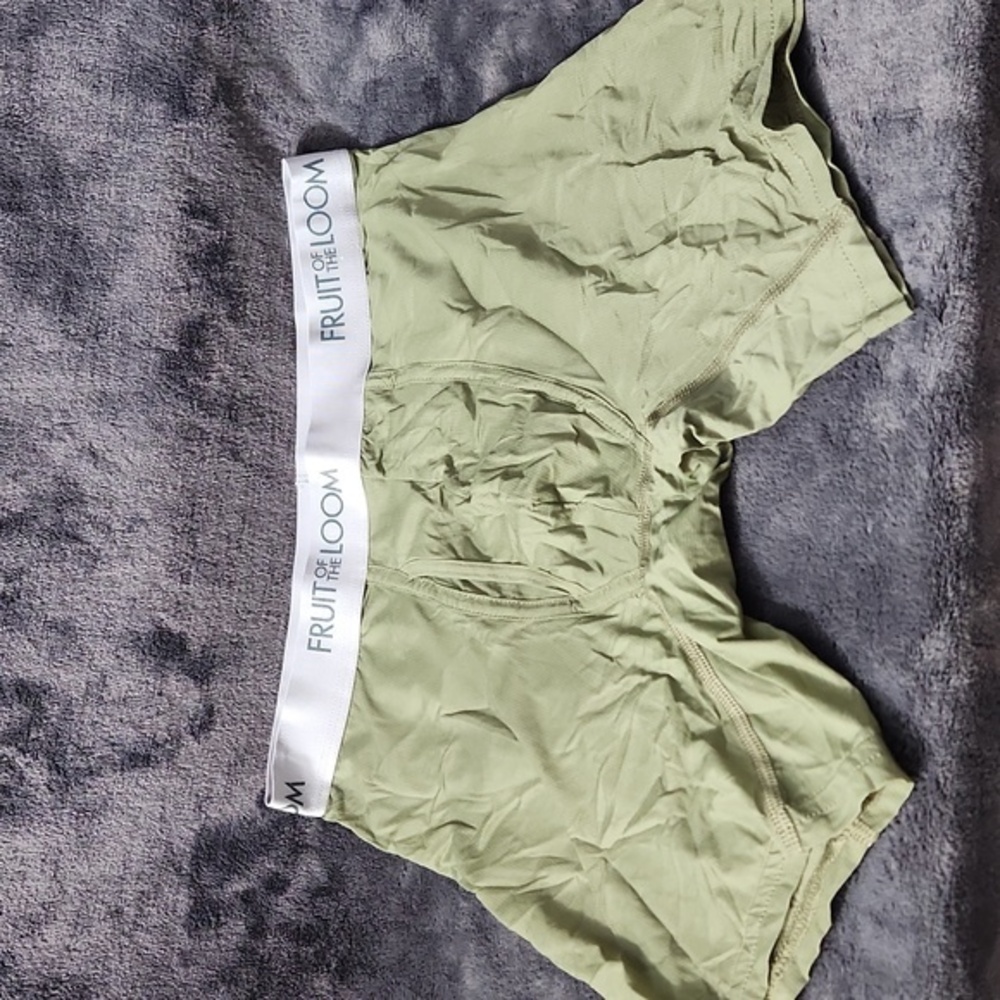 Fruit of them Loom Medium Green Boxer Briefs